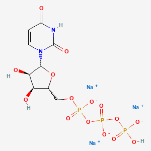 Uridine Triphosphate Trisodium