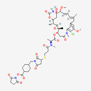 DM1-SMCC