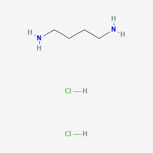 Putrescine Hydrochloride