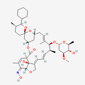 2D Structure