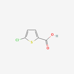 CAS 24065-33-6