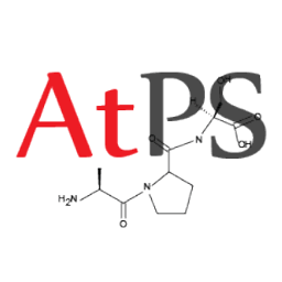 12th Austrian Peptide Symposium