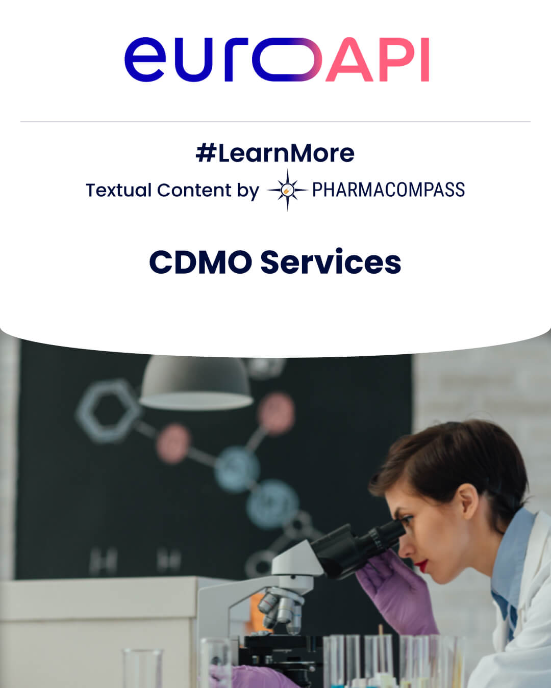 Overview of CDMO Services of EUROAPI, such as small molecule APIs, peptides, microbial fermentation, micronization & spray drying on PharmaCompass.