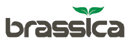 Brassica Pharma Pvt Ltd