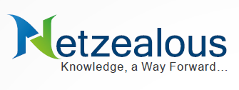 NetZealous LLC