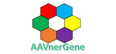 Aavnergene