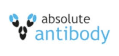 Absolute Antibody