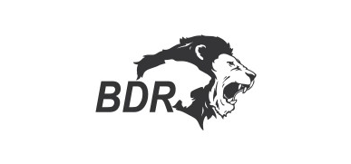 Bdr Lifesciences