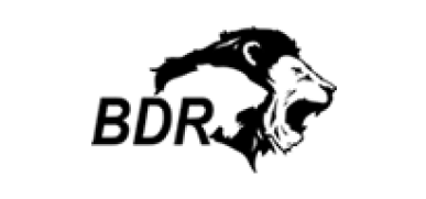bdrpharmaceuticals