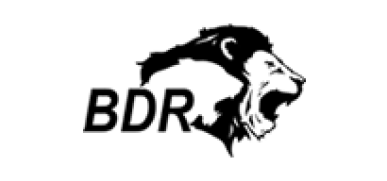 BDR Pharmaceuticals