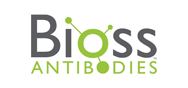 Bioss Antibodies