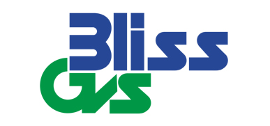 Bliss Gvs Pharma Ltd