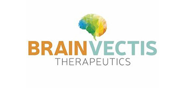 BrainVectis