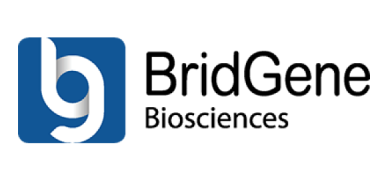 BridGene Biosciences