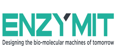 Enzymit