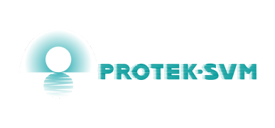 Firm Protek-SVM