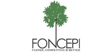 Foncepi