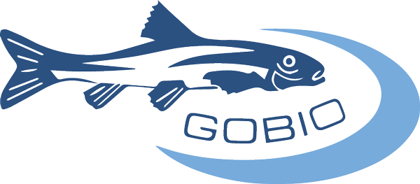 Gobio