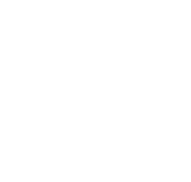Guide Solutions