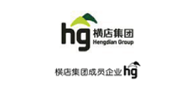 hengdiangroup
