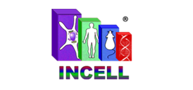 INCELL CORP LLC