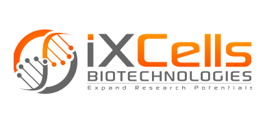 iXCells Biotechnologies