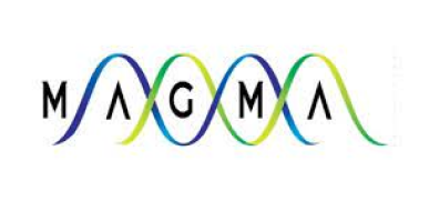 Magma Industries