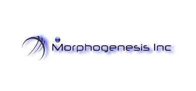 Morphogenesis