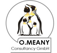 O Meany Consultancy