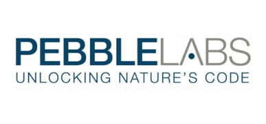 Pebble Labs