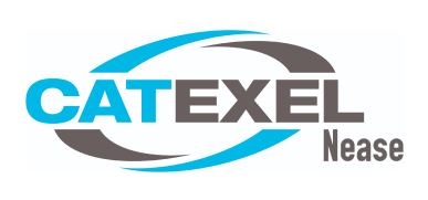 Ruetgers Nease Chemical