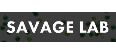 Savage Lab