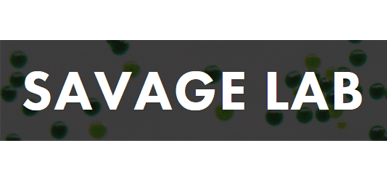 savagelab