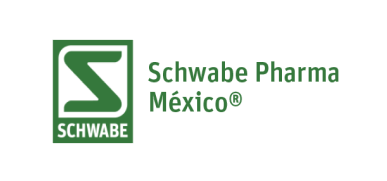 schwabenorthamerica