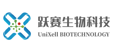 Shanghai UniXell Biotechnology