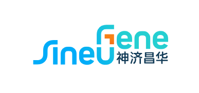 SineuGene Therapeutics