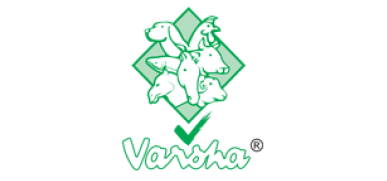 varshagroup