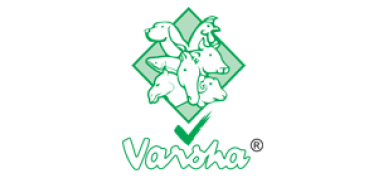 Varsha Group