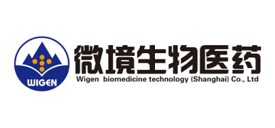 Wigen Biomedicine Technology