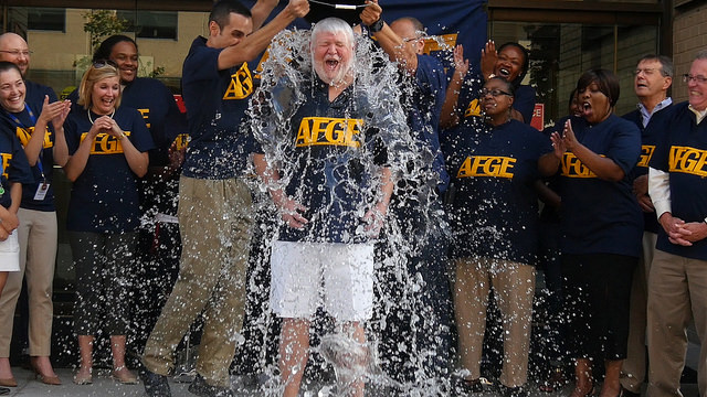 Does the FDA promote European manufacturers over others? The ice-bucket challenge winner! 