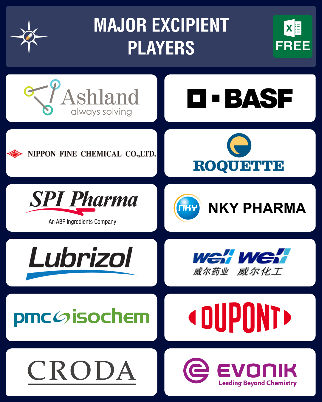 Leading Excipient Companies