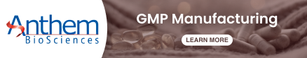 GMP Manufacturing