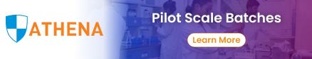 Pilot Scale Batches