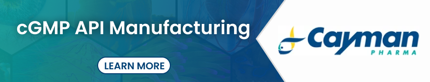 cGMP API Manufacturing