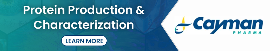 Protein Production & Characterization