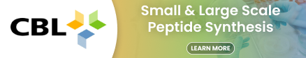 Small & Large Scale Peptide Synthesis