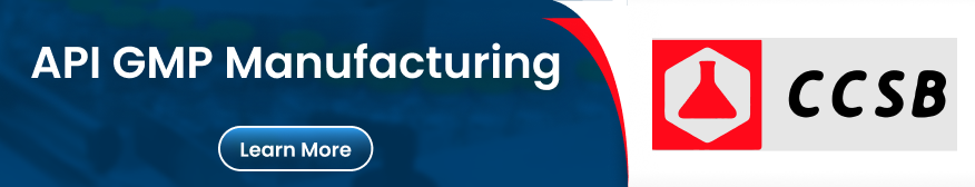 API GMP Manufacturing