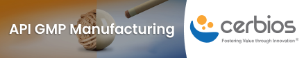 API GMP Manufacturing
