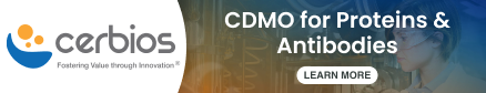 CDMO for Proteins & Antibodies