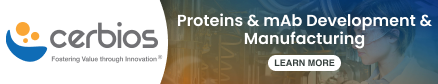 Proteins & mAb Development & Manufacturing